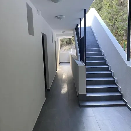 Sugarfame- 3* 瑟尔尼察