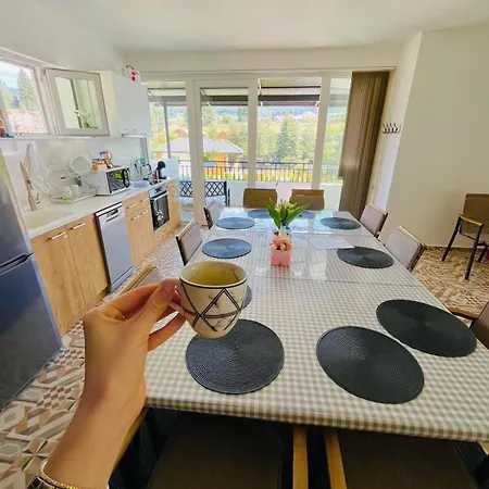 Sugarfame- 招待所 瑟尔尼察