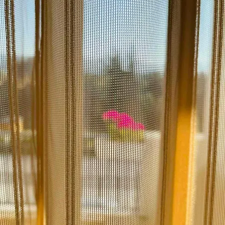 招待所 Sugarfame- 瑟尔尼察