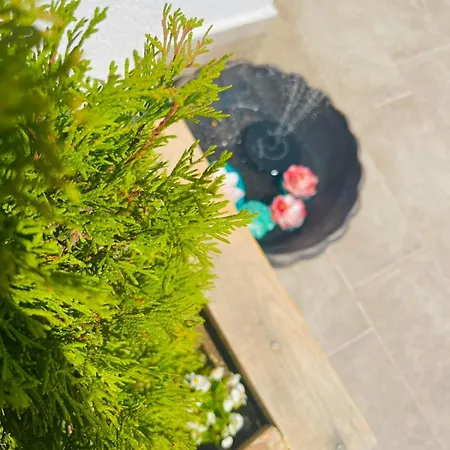 Sugarfame- 招待所 瑟尔尼察