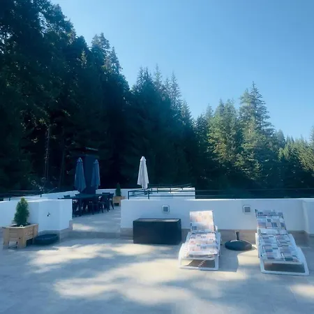 Sugarfame- 瑟尔尼察