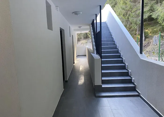 Sugarfame- 3* Szarnica