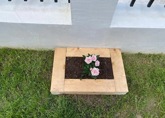 Vendégház Sugarfame-