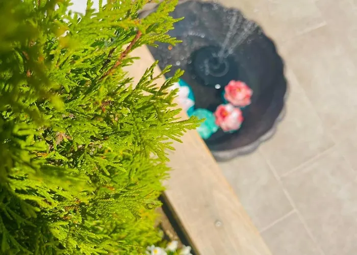 Sugarfame- Vendégház Szarnica